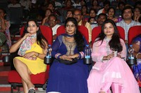 Golden Chance Movie Audio Launch